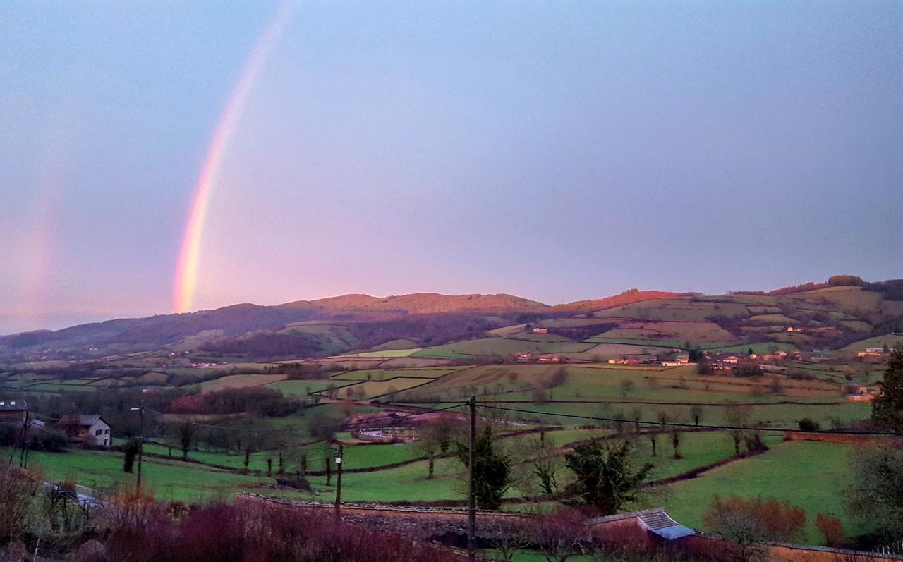La Grange Fleurie Hotel Tramayes ภายนอก รูปภาพ
